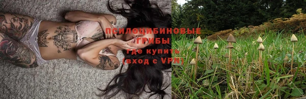 крисы Киреевск