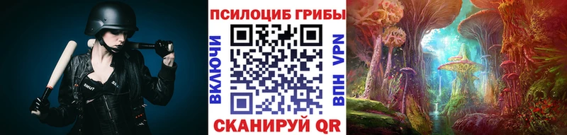 купить  сайты  гидра зеркало  Псилоцибиновые грибы мицелий  Михайловка 