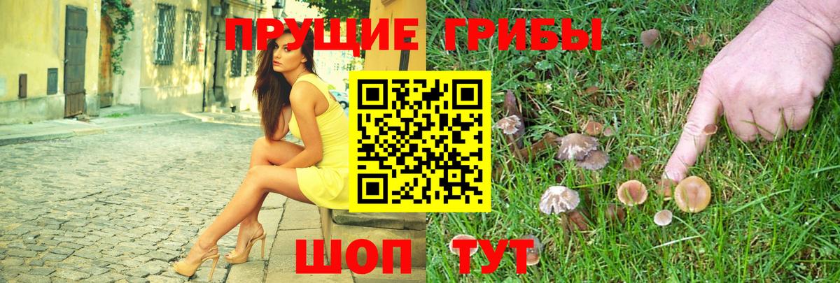 Псилоцибиновые грибы Magic Shrooms Михайловка