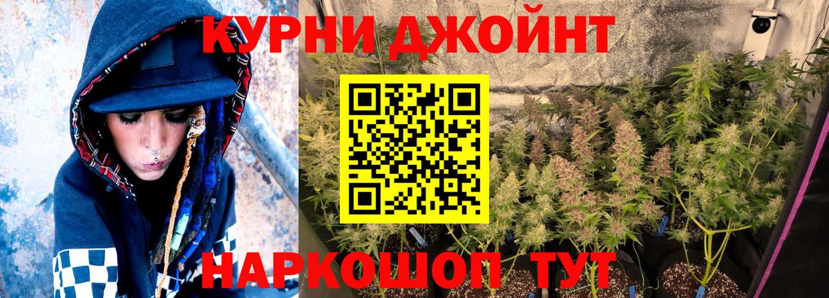 Бошки марихуана MAZAR Михайловка